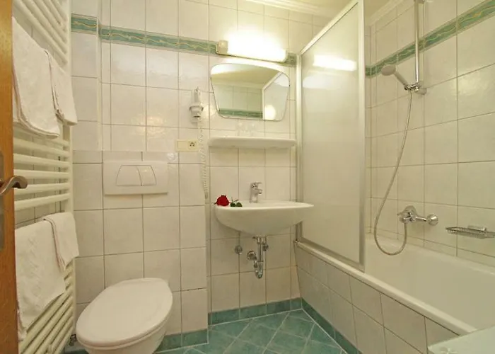 Отель Mitterer 3*