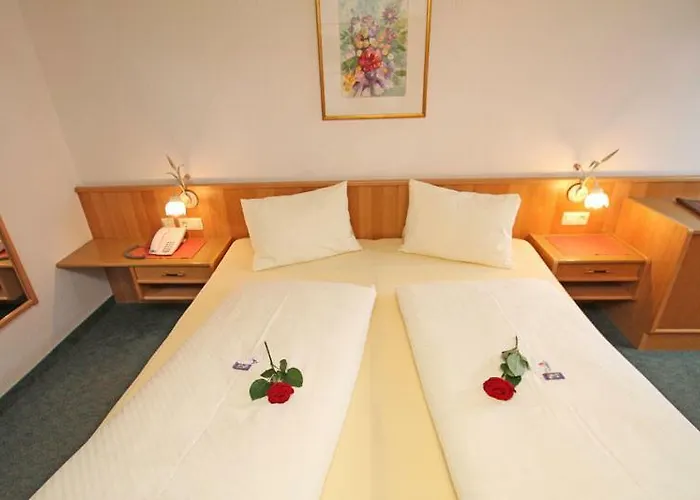 米特勒酒店 3* 萨尔巴赫